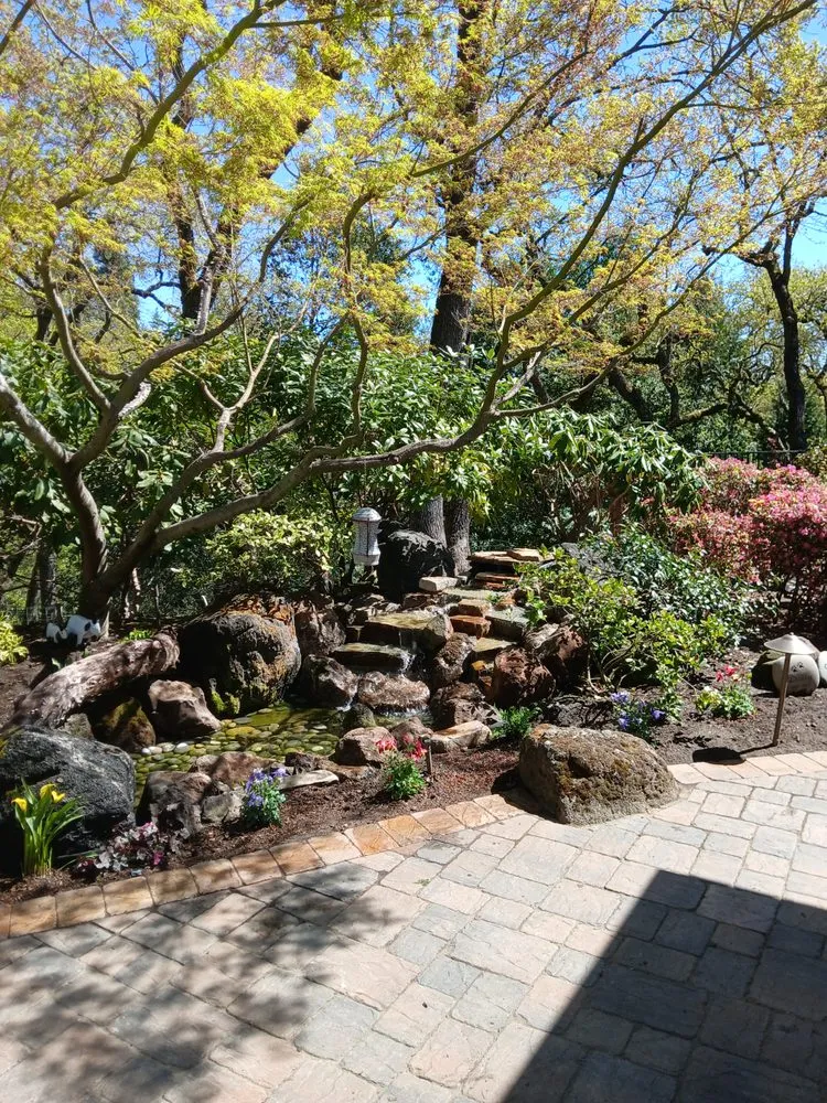 Local landscape installation in Antioch, CA by Evergreen Garden Company