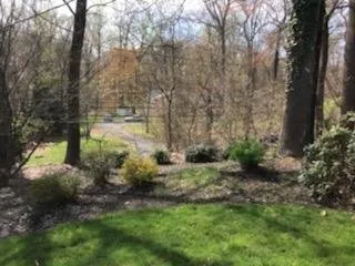 Affordable yard cleanup service for outdoor upgrades in Shelton, CT by Evergreen Garden Design