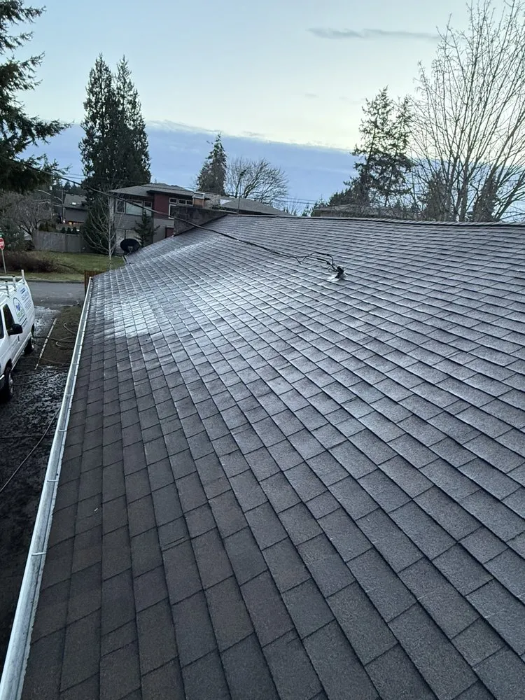 Affordable landscaping services for homes in Kirkland, WA by Evergreen Garden Solutions