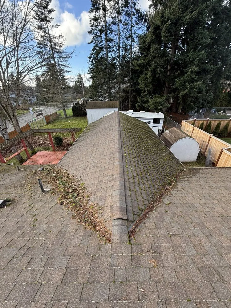 Local garden landscaping in Kirkland, WA - Evergreen Garden Solutions