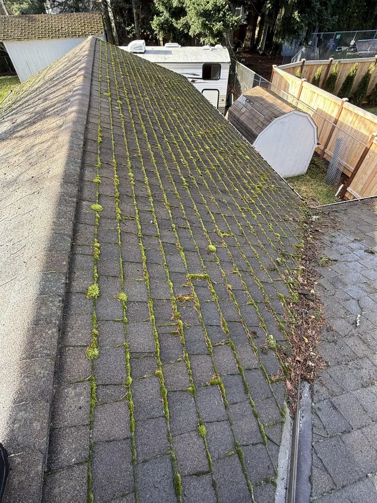 Custom garden landscaping in Kirkland, WA by Evergreen Garden Solutions