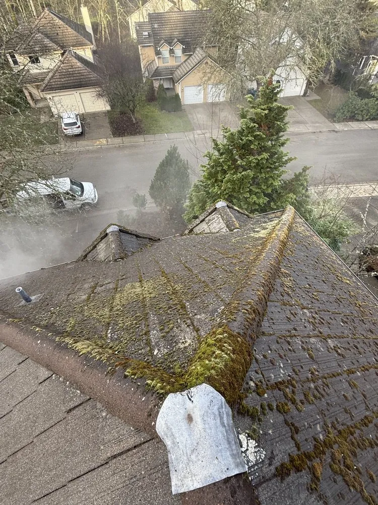 Local lawn care service experts serving Kirkland, WA - Evergreen Garden Solutions