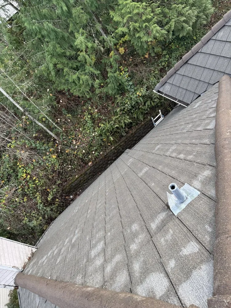 Affordable lawn care service in Kirkland, WA - Evergreen Garden Solutions