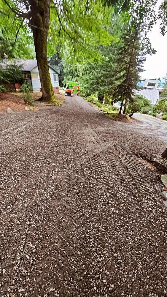 Trusted yard cleanup service for year-round maintenance across Kirkland, WA - Evergreen Garden Solutions