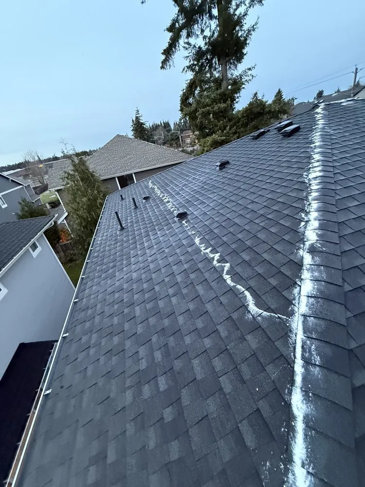 Local garden landscaping in Kirkland, WA - Evergreen Garden Solutions