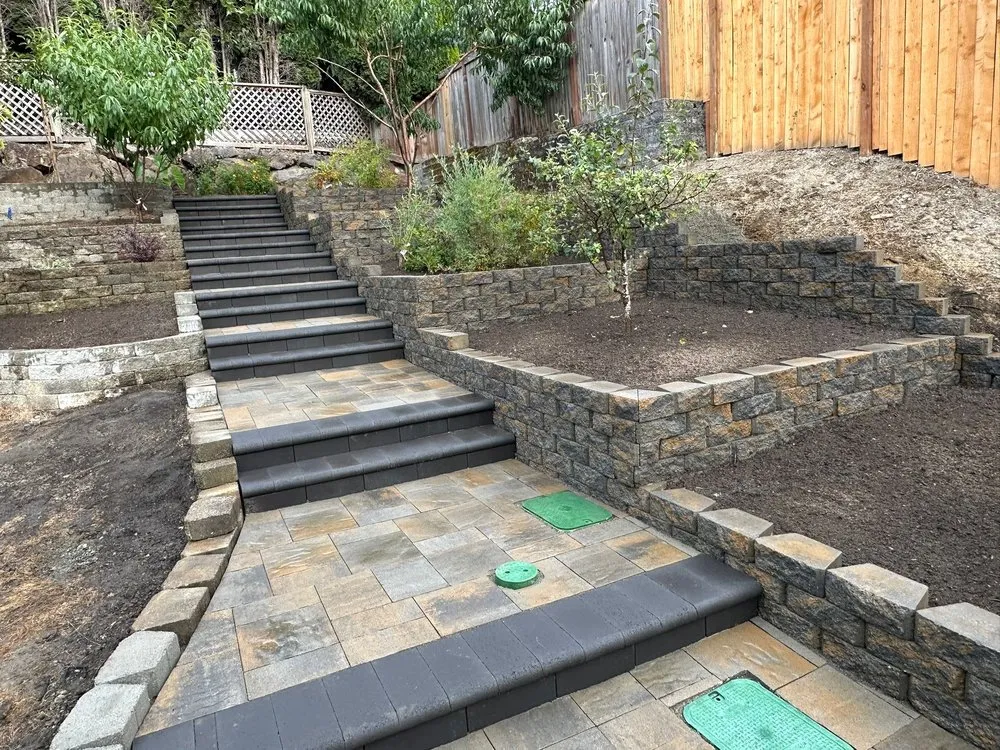 Top-rated lawn care service in Kirkland, WA by Evergreen Garden Solutions