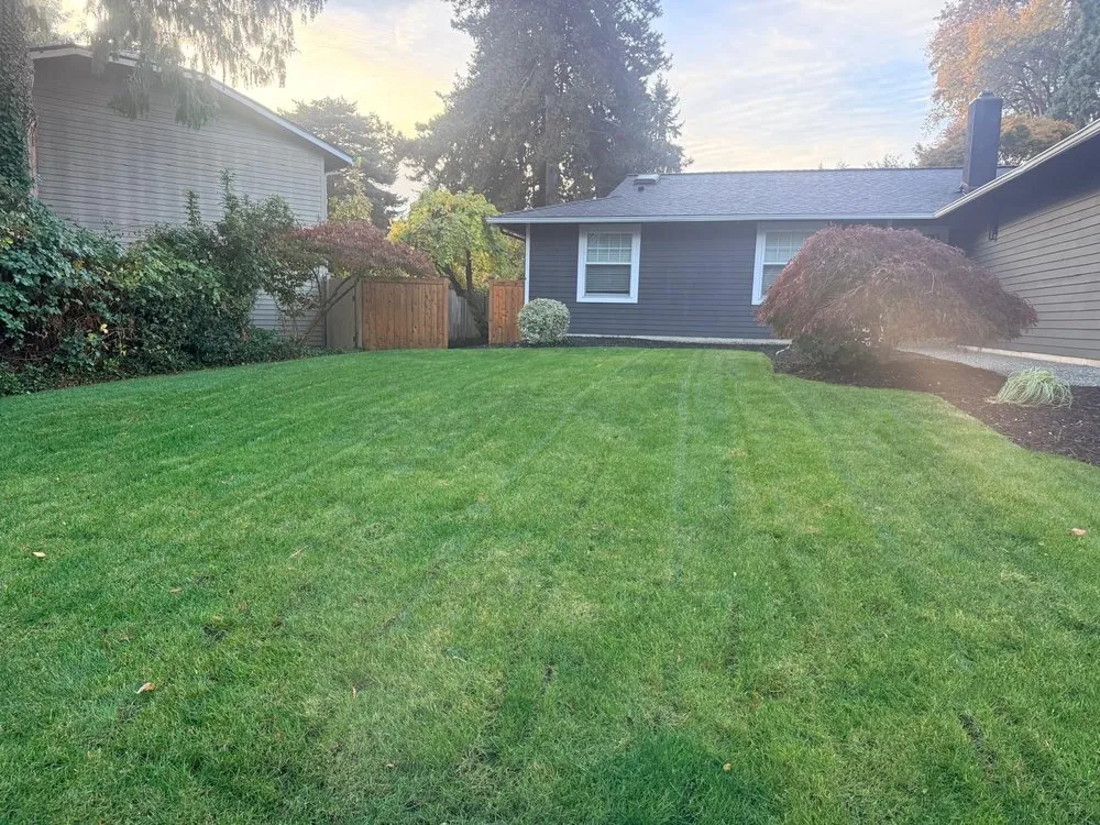 Local garden landscaping with custom design in Kirkland, WA by Evergreen Garden Solutions