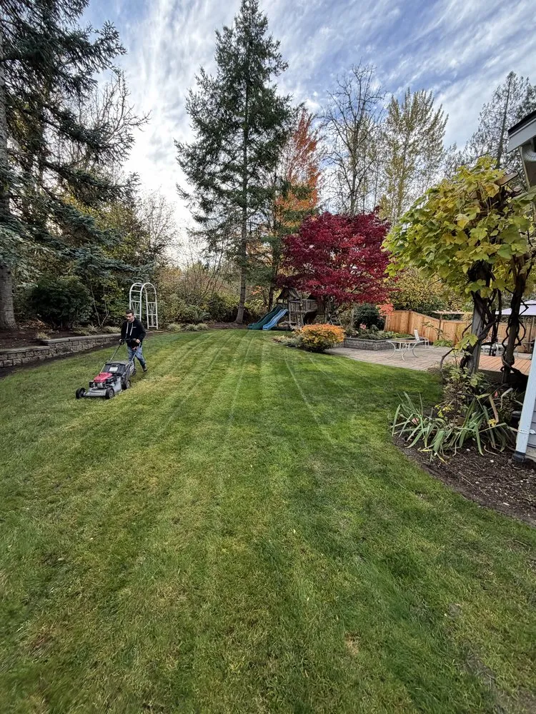 Professional yard maintenance with custom design across Kirkland, WA - Evergreen Garden Solutions
