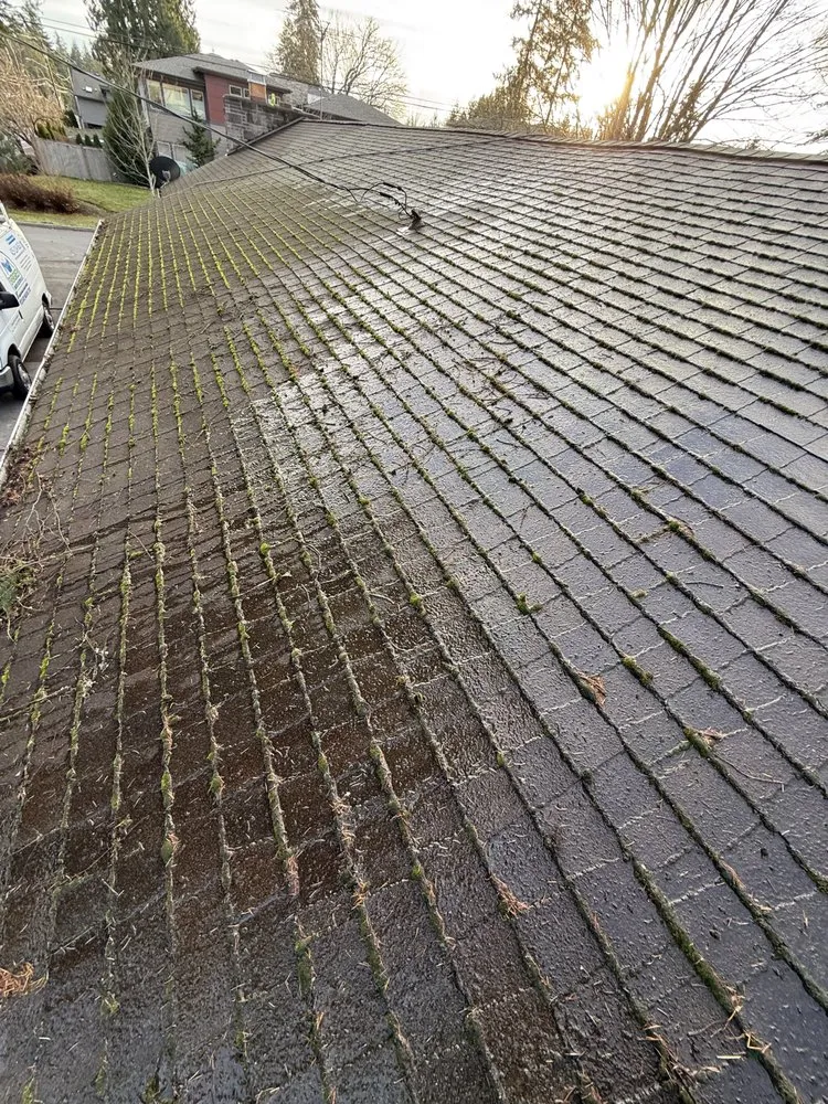 Custom outdoor landscaping for residential properties across Kirkland, WA - Evergreen Garden Solutions