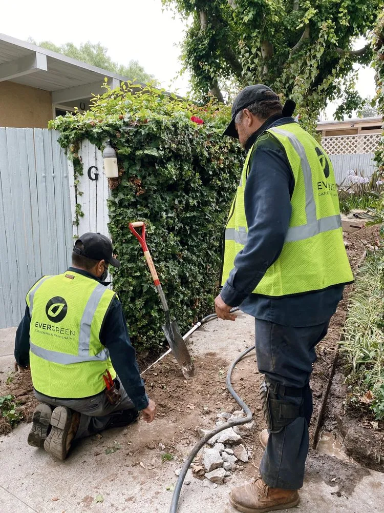 Trusted yard cleanup service experts serving Los Angeles, CA - Evergreen Gardening & Maintenance