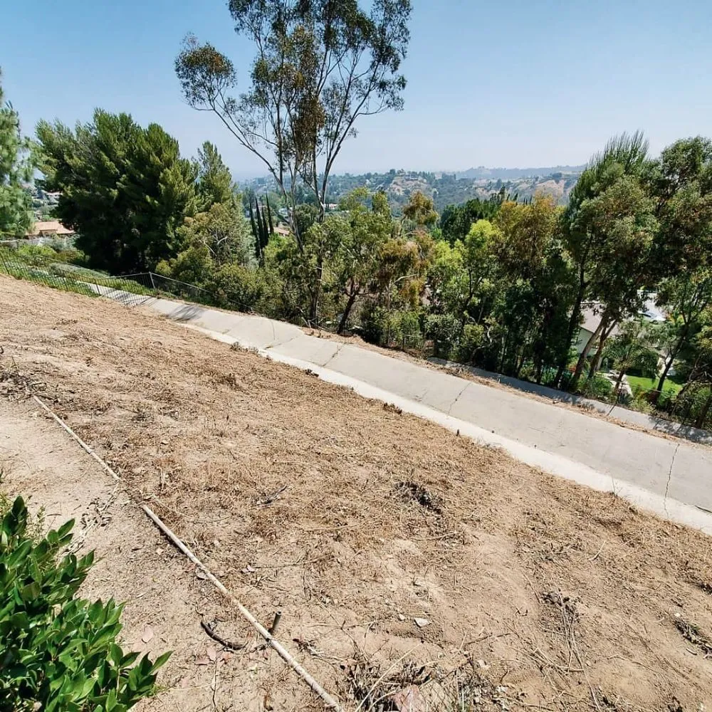 Top-rated lawn care service experts serving Los Angeles, CA - Evergreen Gardening & Maintenance