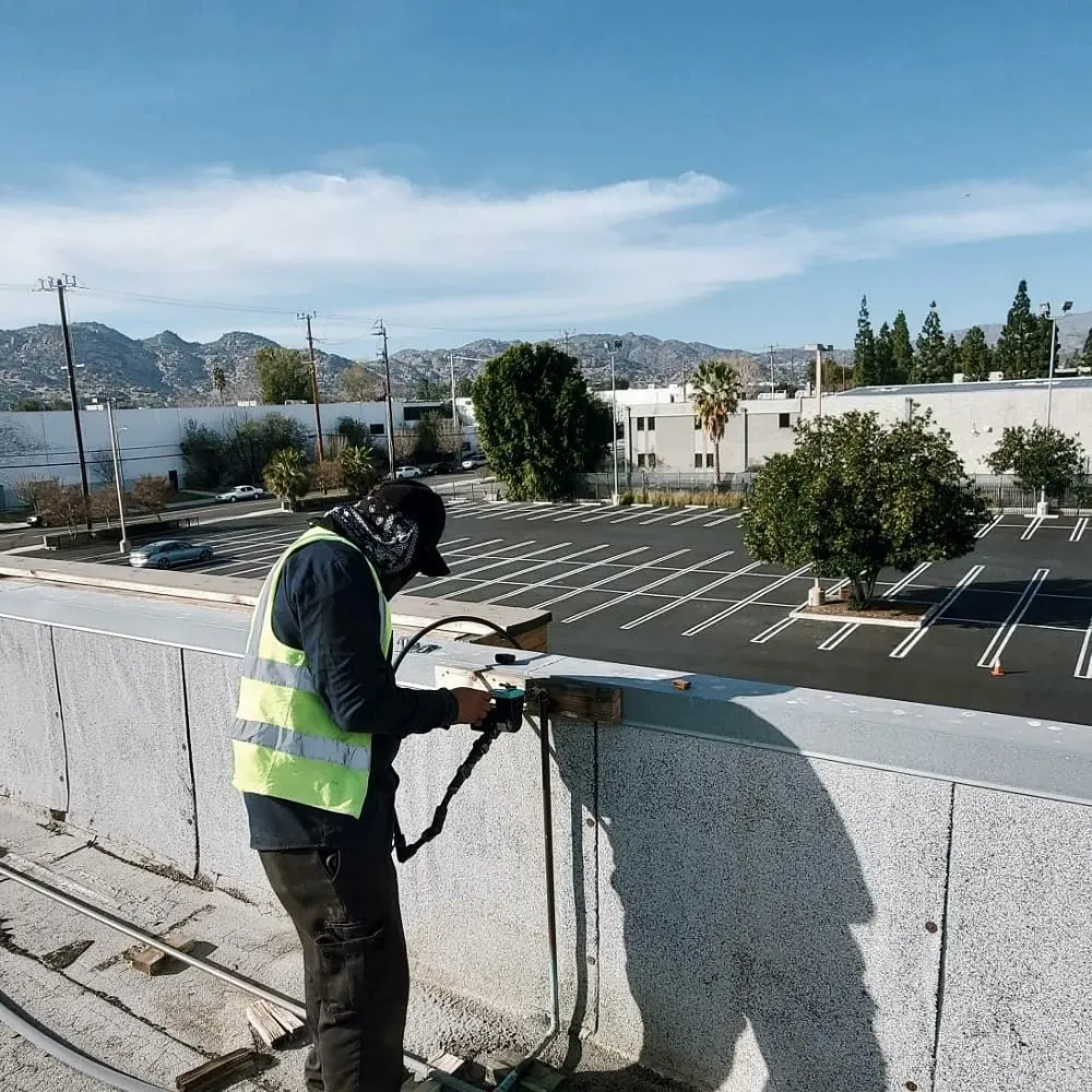 Affordable yard maintenance in Los Angeles, CA by Evergreen Gardening & Maintenance