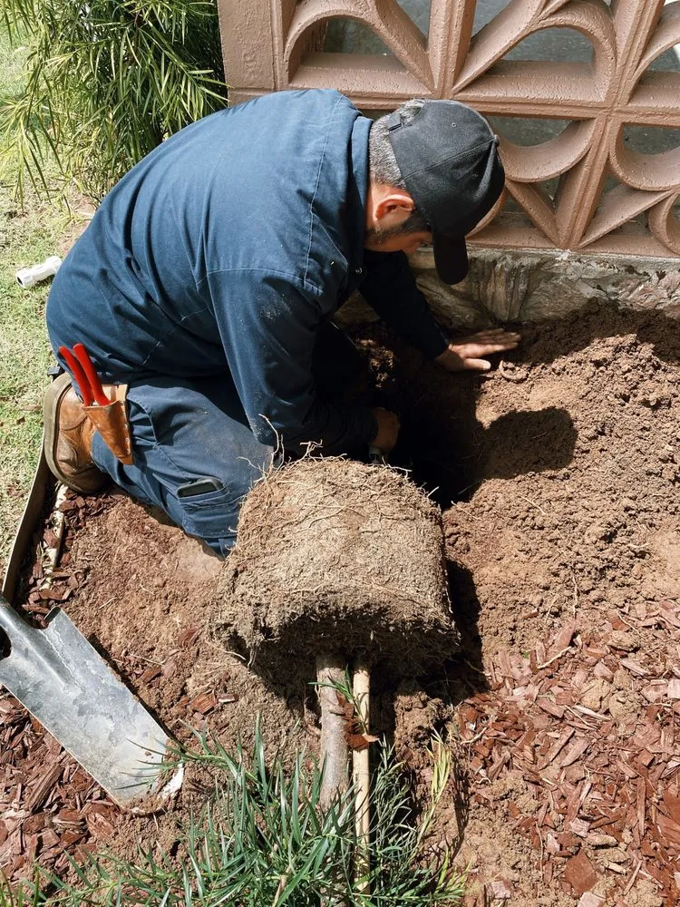 Expert yard cleanup service for outdoor upgrades across Los Angeles, CA - Evergreen Gardening & Maintenance