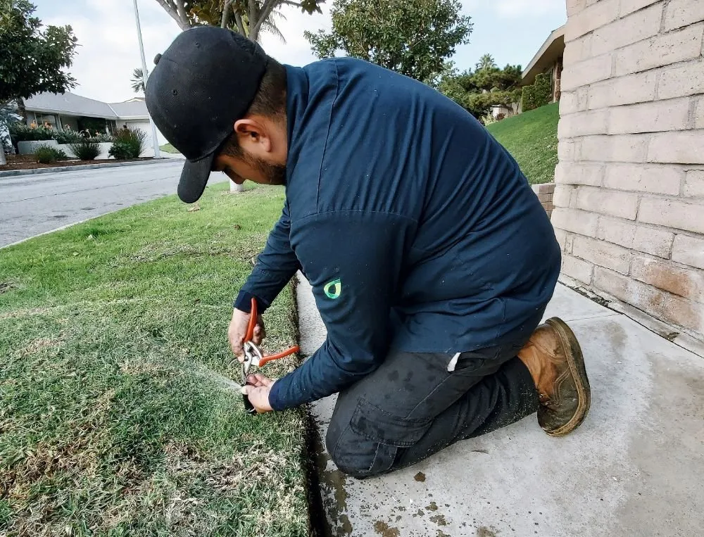 Custom outdoor landscaping experts serving Los Angeles, CA - Evergreen Gardening & Maintenance