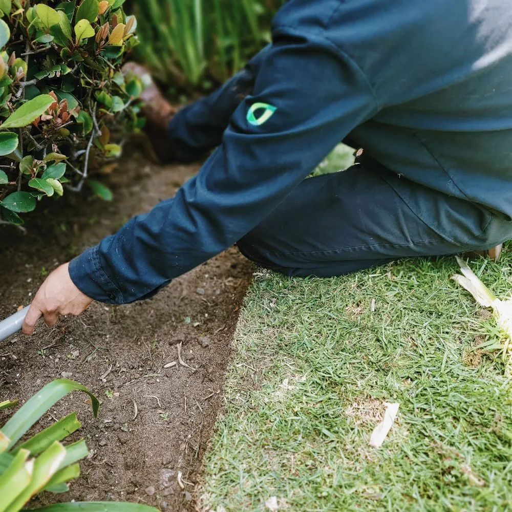 Affordable outdoor landscaping in Los Angeles, CA - Evergreen Gardening & Maintenance