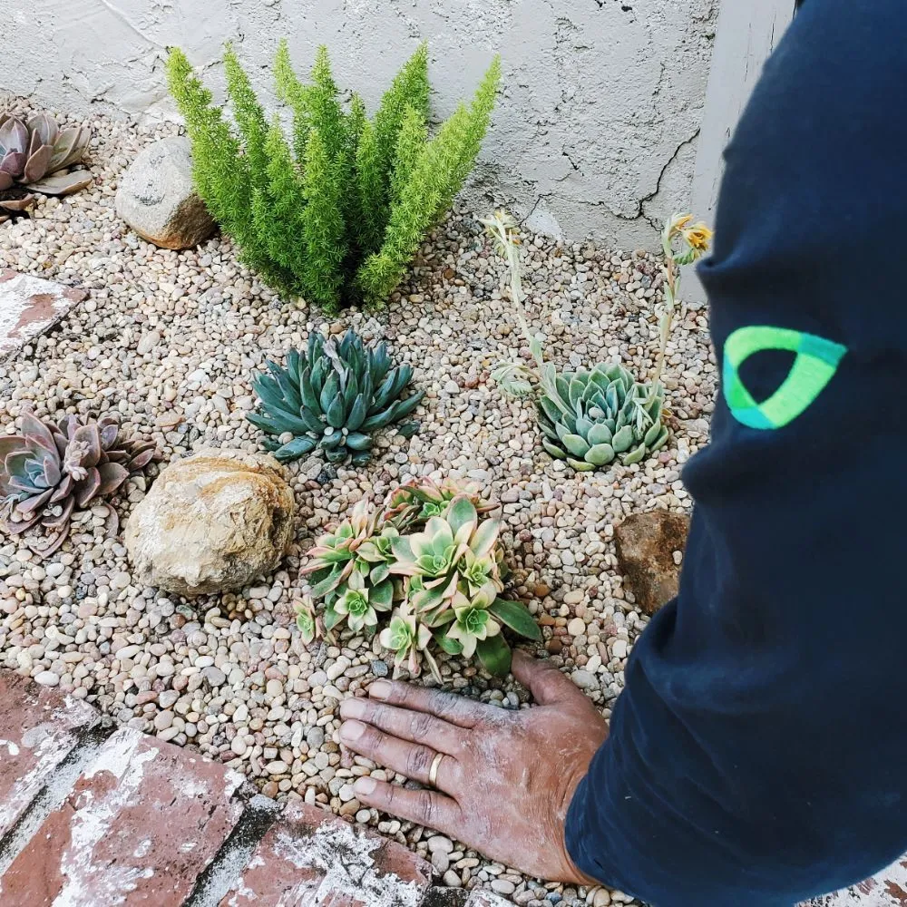 Expert lawn mowing service for beautiful yards across Los Angeles, CA - Evergreen Gardening & Maintenance