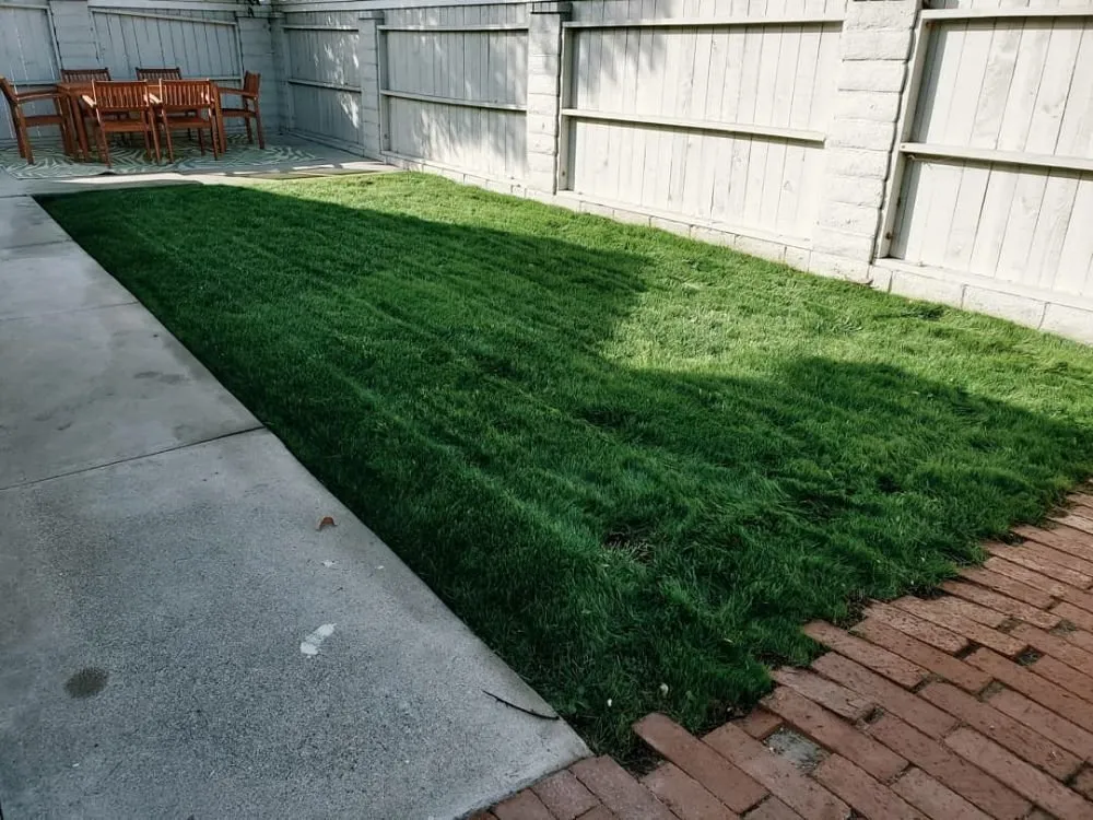 Custom landscape design in Los Angeles, CA - Evergreen Gardening & Maintenance