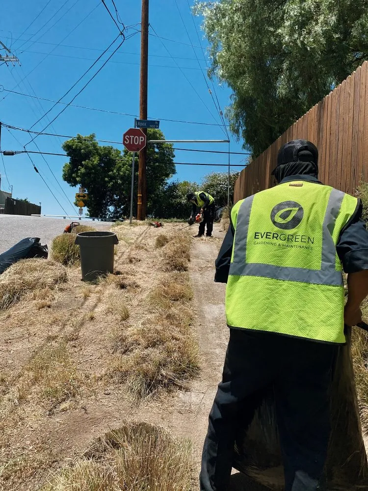 Affordable landscape design in Los Angeles, CA - Evergreen Gardening & Maintenance