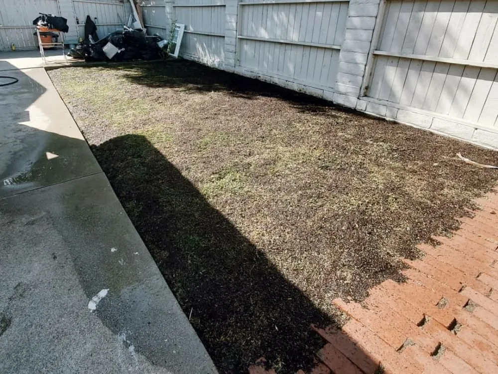 Professional landscaping services in Los Angeles, CA - Evergreen Gardening & Maintenance