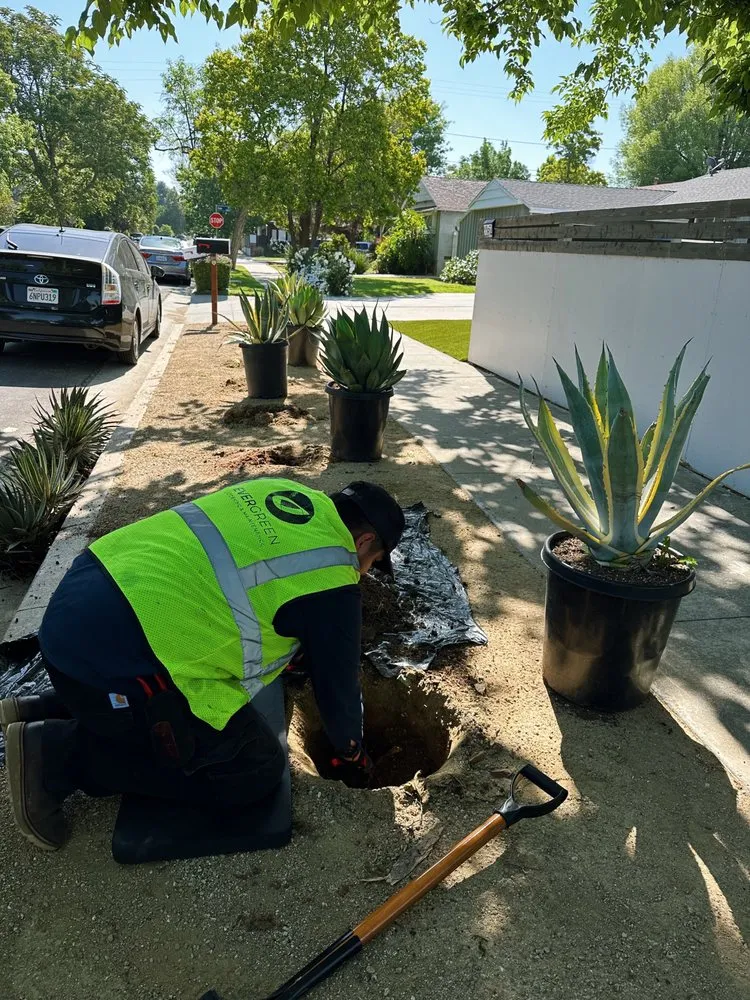 Custom landscape installation experts serving Los Angeles, CA - Evergreen Gardening & Maintenance