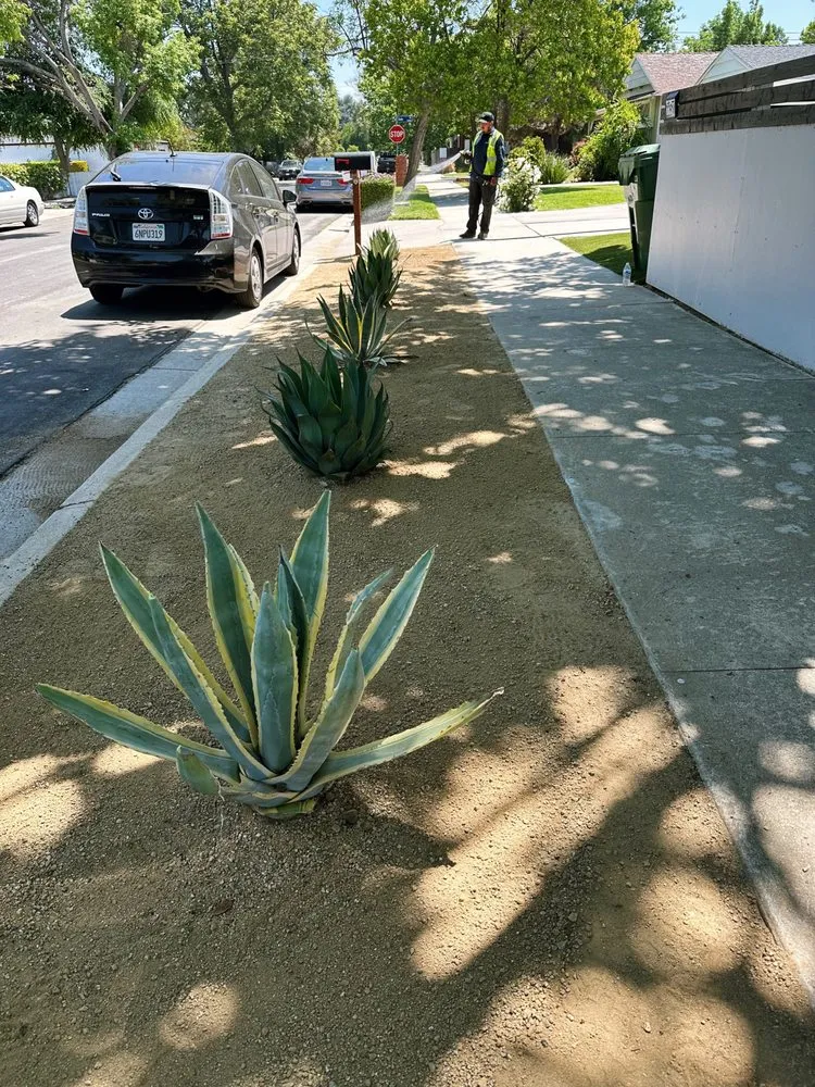 Affordable landscape design experts serving Los Angeles, CA - Evergreen Gardening & Maintenance