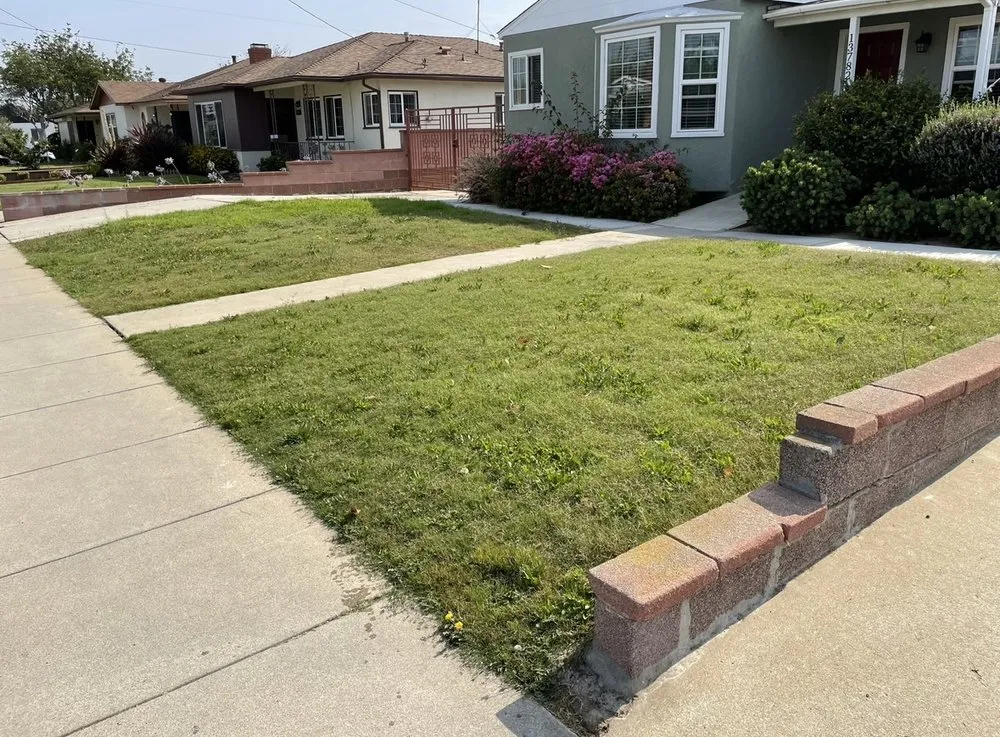 Professional residential landscaping near you across Los Angeles, CA - Evergreen Gardening & Maintenance