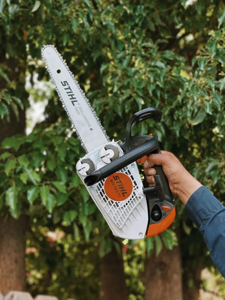 Professional yard cleanup service for homes in Los Angeles, CA by Evergreen Gardening & Maintenance