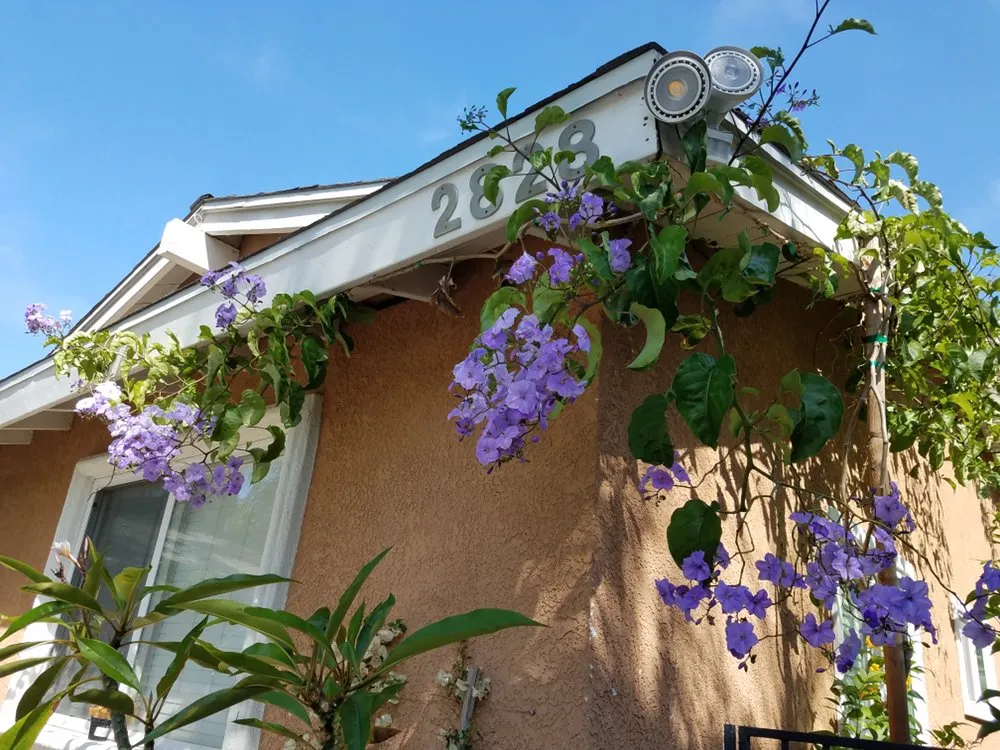 Reliable landscape design experts serving Orange, CA - Evergreen Gardening and Landscaping