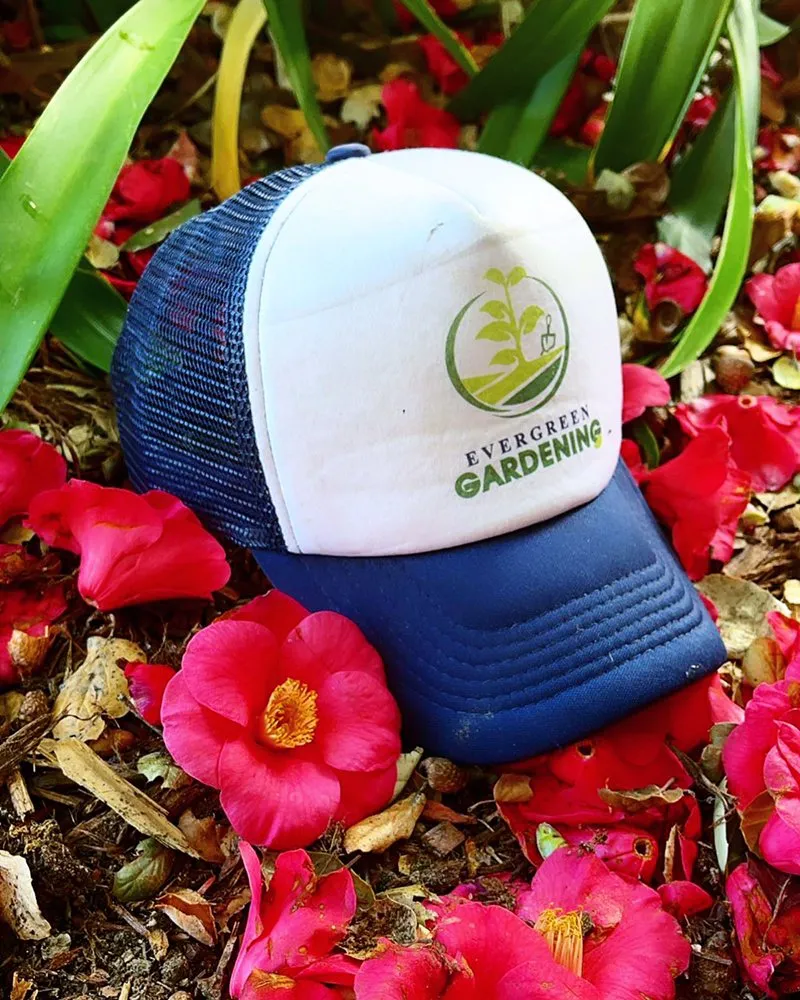 Expert landscaping services experts serving Oakland, CA - Evergreen Gardening