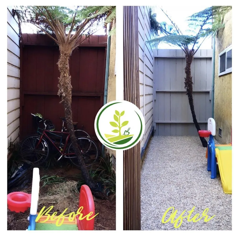 Affordable yard maintenance for beautiful yards across Oakland, CA - Evergreen Gardening