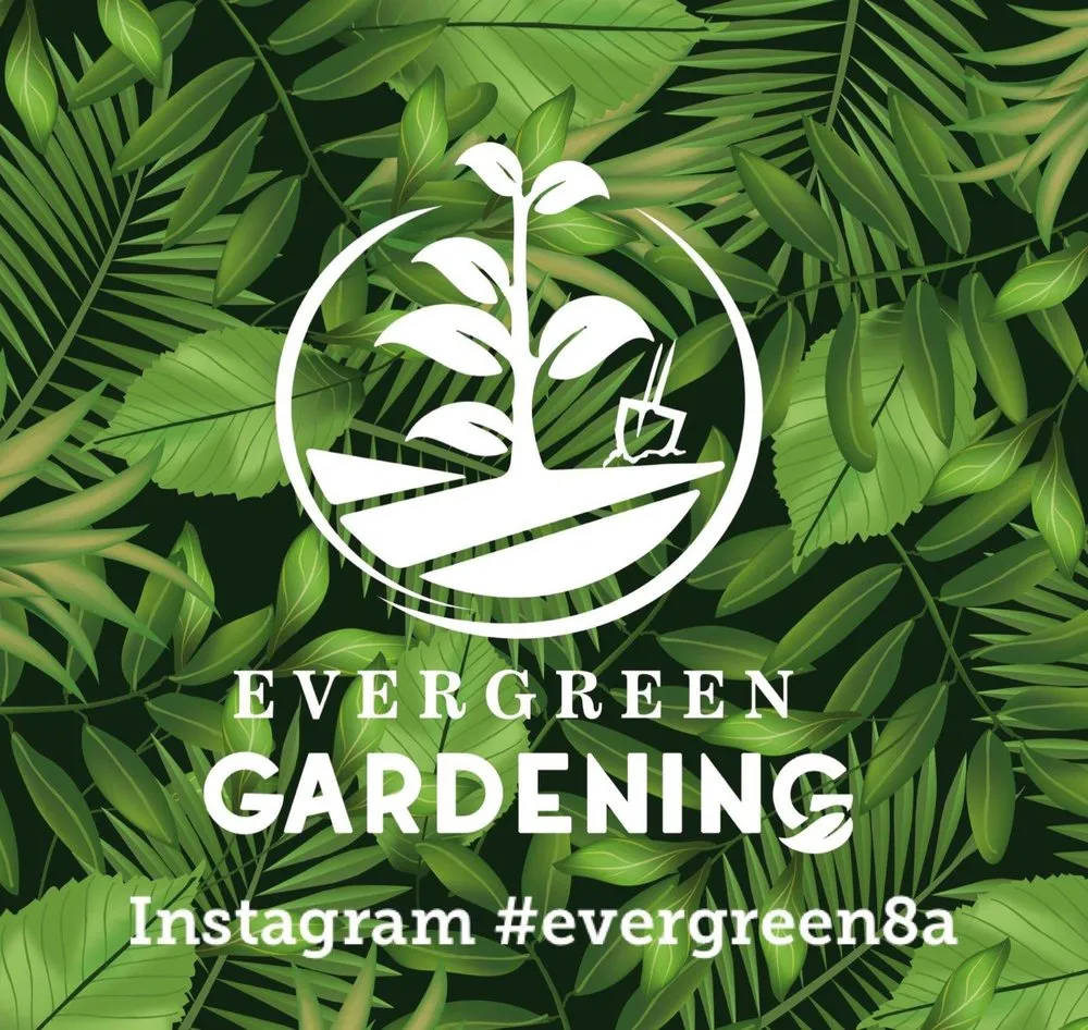 Reliable outdoor landscaping for residential properties across Oakland, CA - Evergreen Gardening