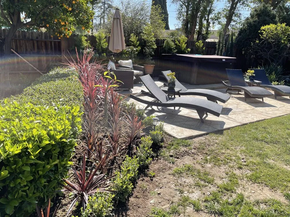 Expert lawn care service for outdoor upgrades in Oakland, CA by Evergreen Gardening