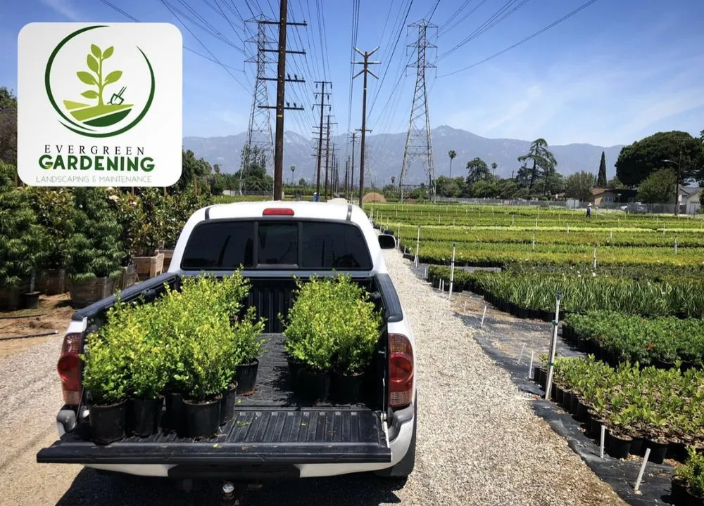 Custom lawn mowing service in Oakland, CA - Evergreen Gardening