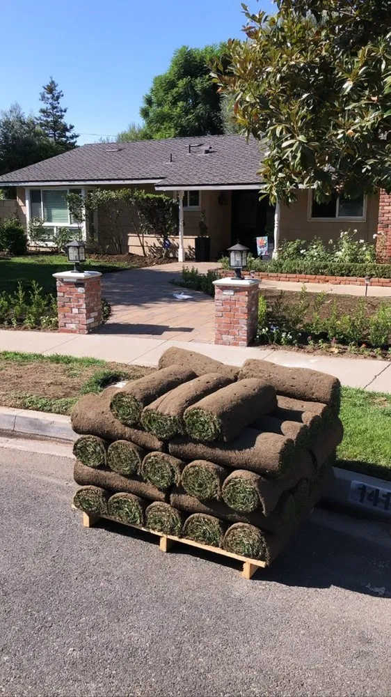 Custom yard maintenance in Oakland, CA by Evergreen Gardening