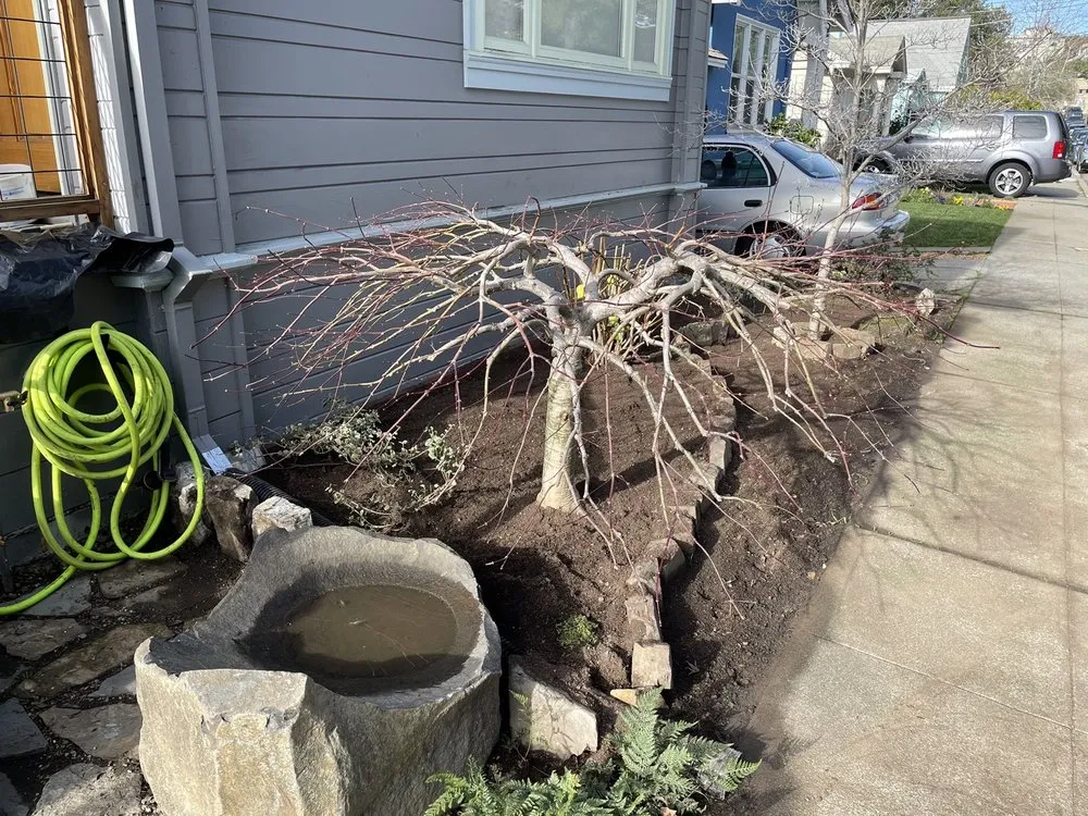 Affordable yard cleanup service for homes across Oakland, CA - Evergreen Gardening