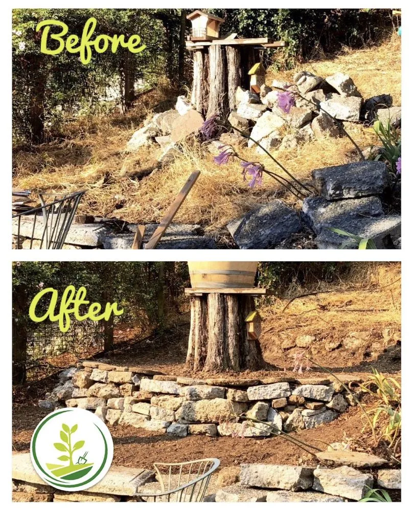 Custom yard maintenance in Oakland, CA by Evergreen Gardening