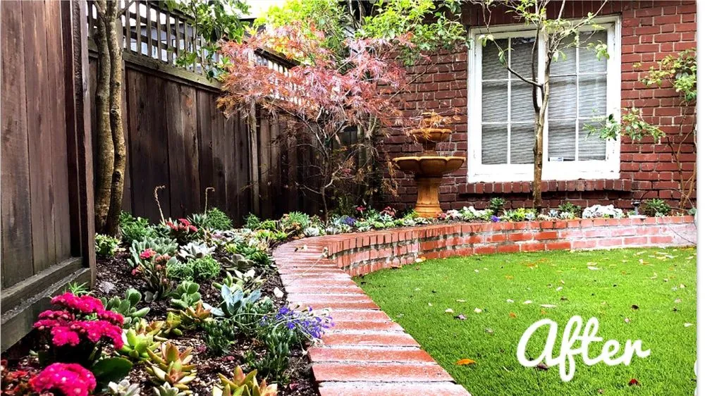 Affordable landscape installation for beautiful yards across Oakland, CA - Evergreen Gardening