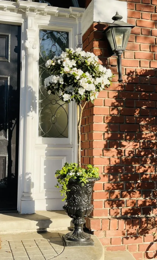 Trusted residential landscaping experts serving Oakland, CA - Evergreen Gardening