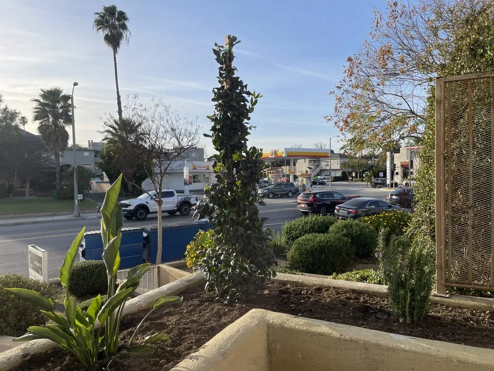 Professional landscape installation for outdoor upgrades in Long Beach, CA by Evergreen Gardening Service