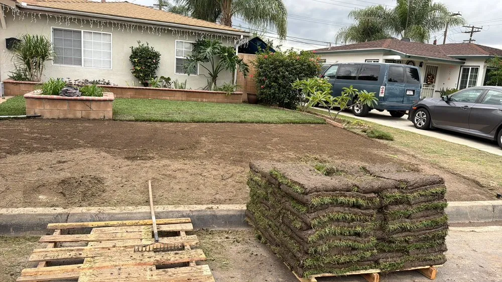 Affordable landscape installation in Long Beach, CA by Evergreen Gardening Service