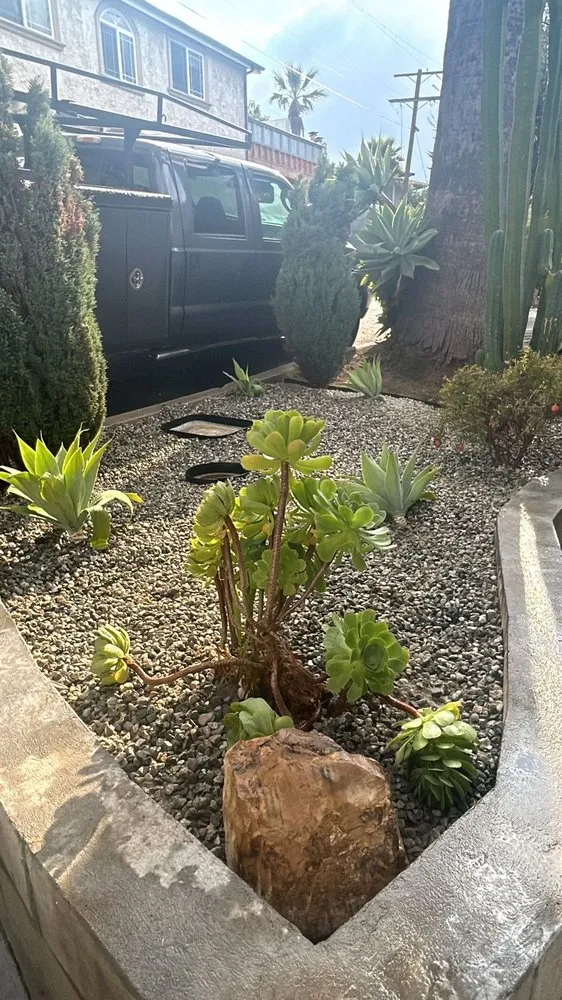Professional yard maintenance near you in Long Beach, CA by Evergreen Gardening Service