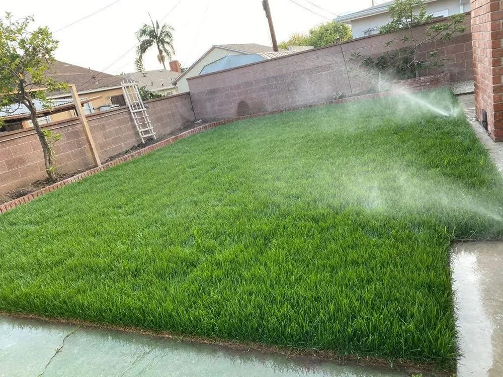 Trusted lawn care service for outdoor upgrades across Long Beach, CA - Evergreen Gardening Service