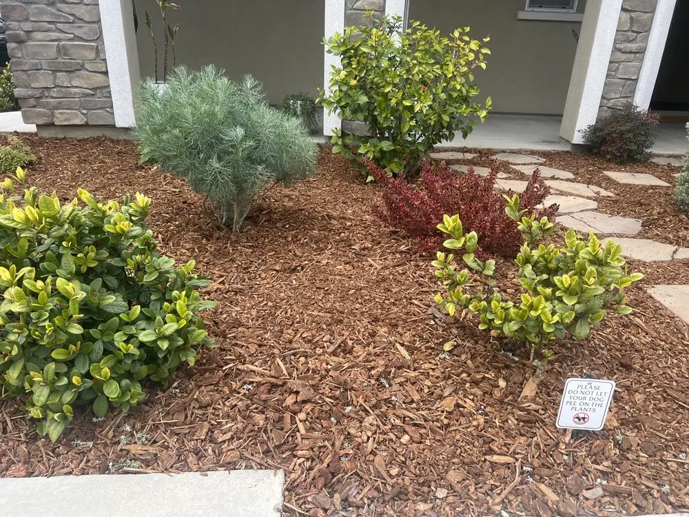 Trusted landscaping services for homes across Long Beach, CA - Evergreen Gardening Service