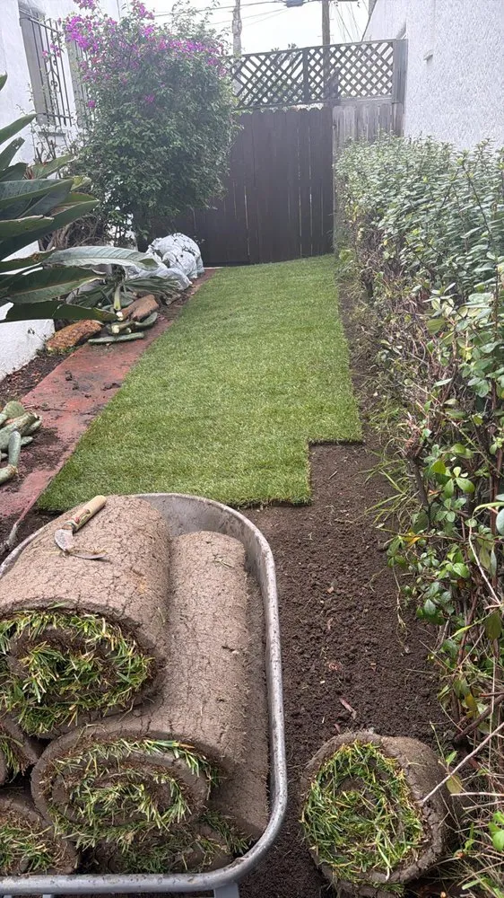 Top-rated landscape design in Long Beach, CA by Evergreen Gardening Service