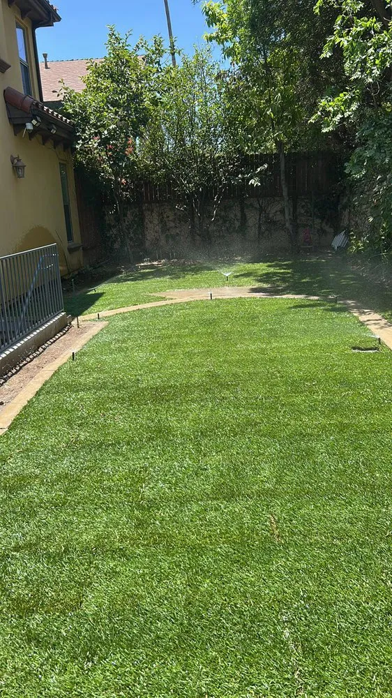 Affordable outdoor landscaping in Long Beach, CA by Evergreen Gardening Service