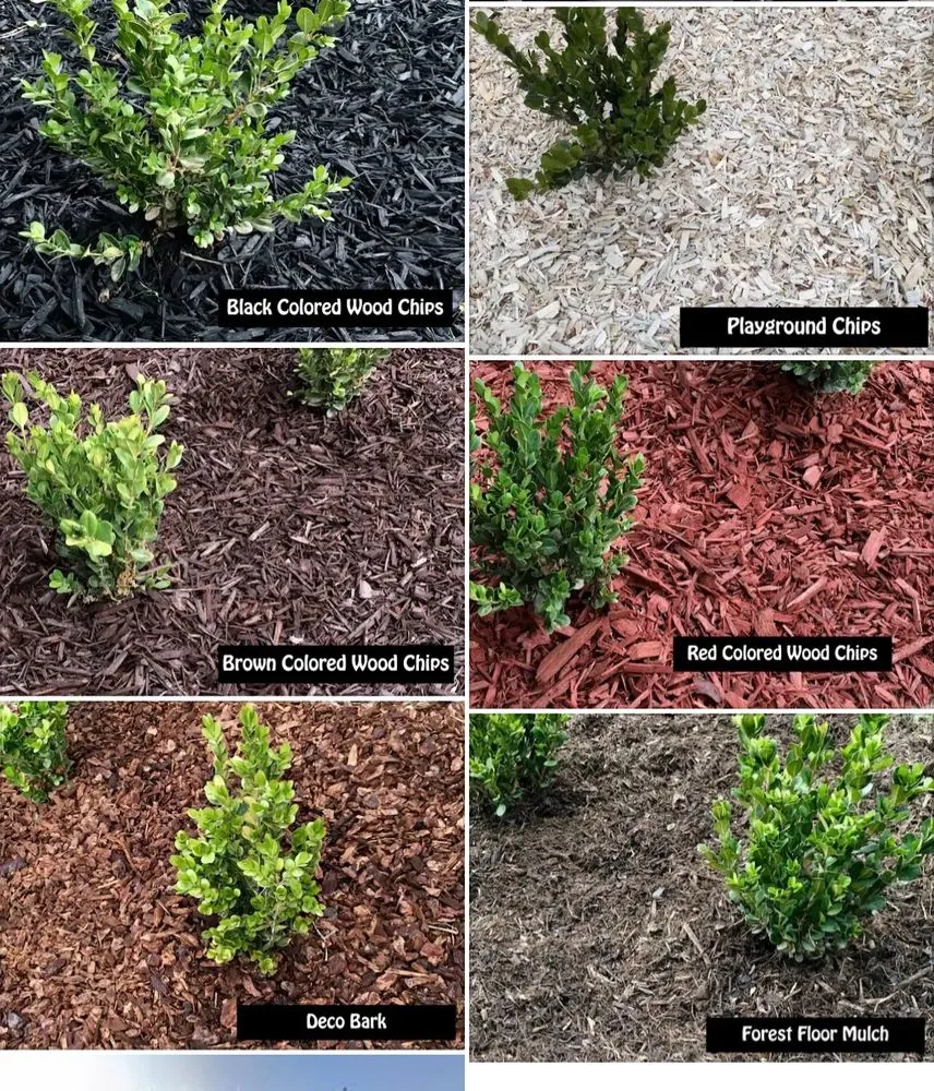 Reliable landscape installation experts serving Long Beach, CA - Evergreen Gardening Service