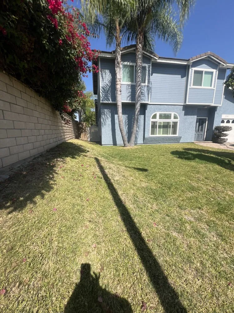 Expert yard maintenance in Long Beach, CA - Evergreen Gardening Service