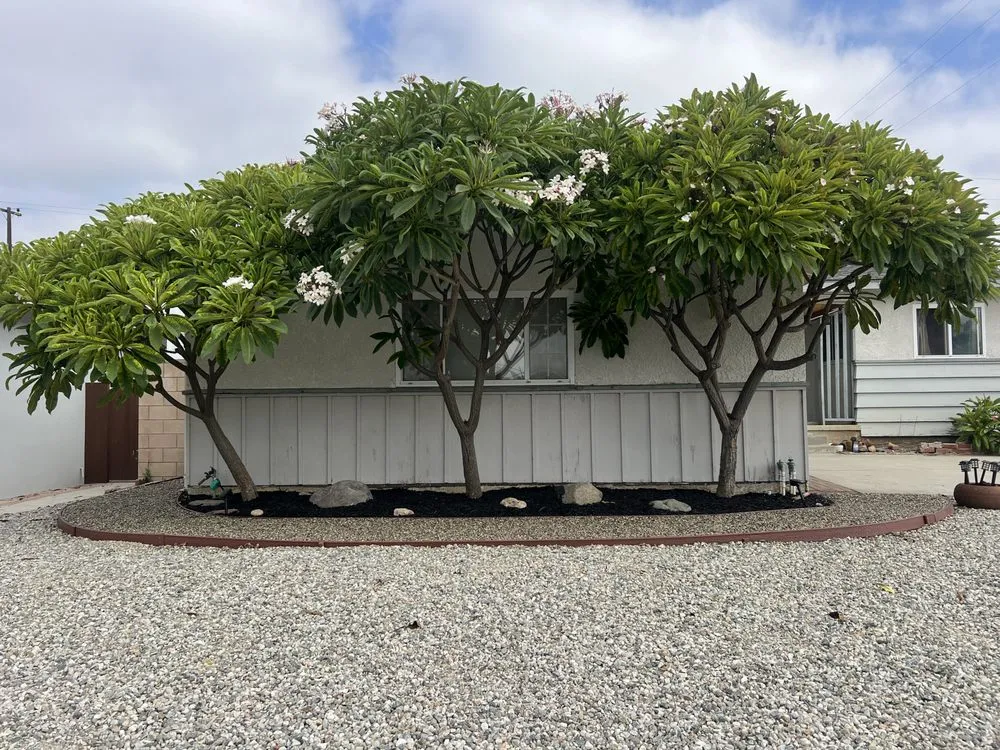 Custom landscape design with custom design in Long Beach, CA by Evergreen Gardening Service