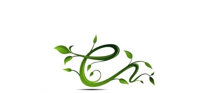 Custom yard maintenance for homes across Rialto, CA - Evergreen Gardens Landscape