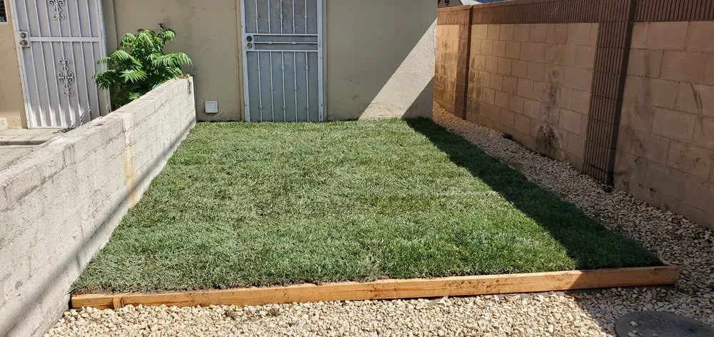 Expert residential landscaping near you across Rialto, CA - Evergreen Gardens Landscape